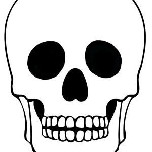 skull_template.png