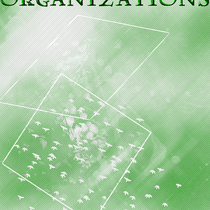 y45 Divider- Slytherin Clubs and Organization.gif