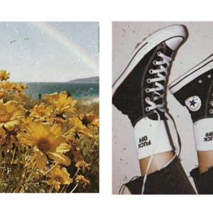 samantha jacobs aesthetic (1).png