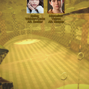 Hufflepuff Quidditch Y46 page 2.png