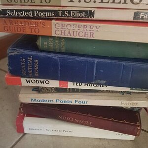 20250515_123954.jpg