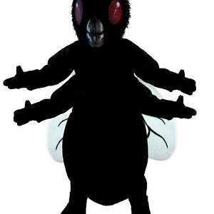 halloween y1.jpg