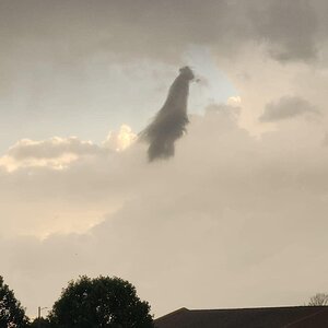 IMG_0190.JPG
