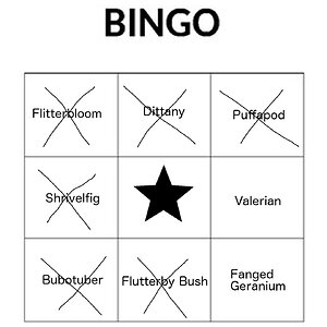 lucybingo.jpg