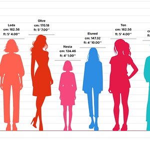 Layton height chart