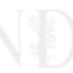 year2.png