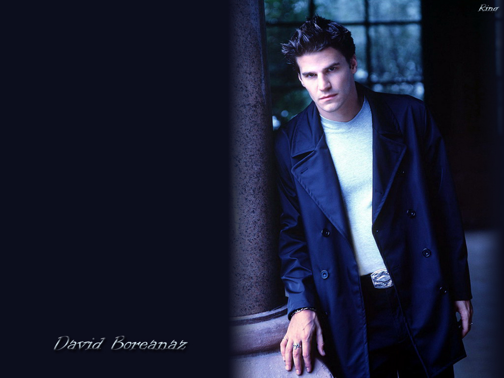 David-david-boreanaz-640756_1024_768.jpg