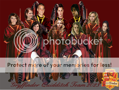 quidditchteam.png