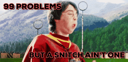harry potter quidditch GIF by chuber channel