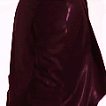 fab2.gif