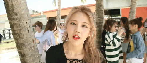 tumblr_obmvxi5GeP1uef4gro1_500.gif
