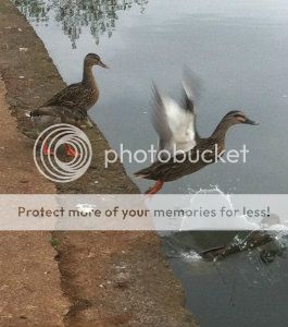photo1.jpg