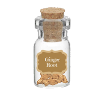 gingerroot.png