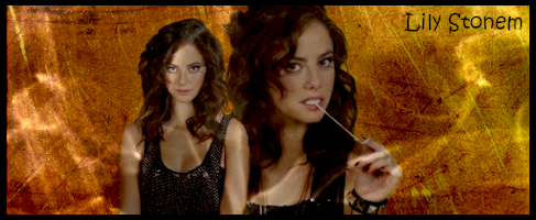 Lily-Yellow-B.png