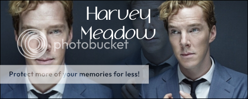 HarveyMeadow.png