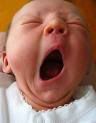 Theyawn.jpg