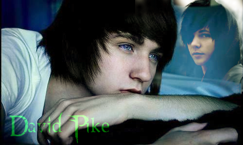 david1.png