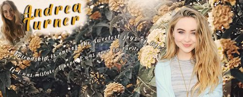 andrea-turner-banner-1.png