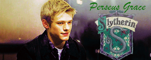 P4.gif