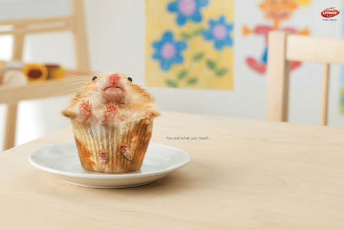 hamster-muffin.jpg