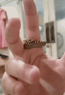 ezgif-com-resize.gif