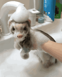 7148d1014d6fdf5b7b1e8fc90d3eaa4d.gif