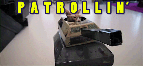 tumblr_n7fy7450oV1qcj3tho4_500.gif