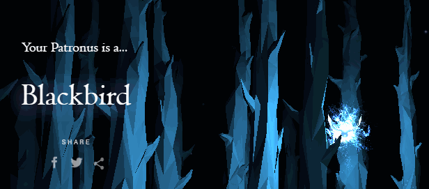 c5b9c606d05404ae6c9c1fac6ad12753.gif