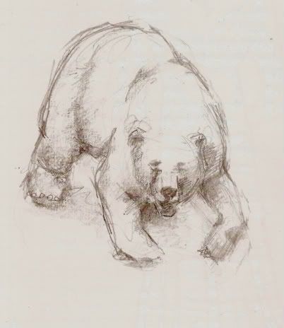 bear-1.jpg