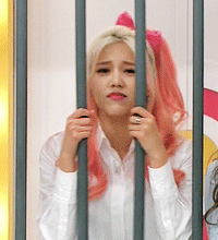 tumblr_osavykenrF1w1znofo1_250.gif
