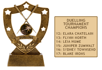 Y38trophies3.png