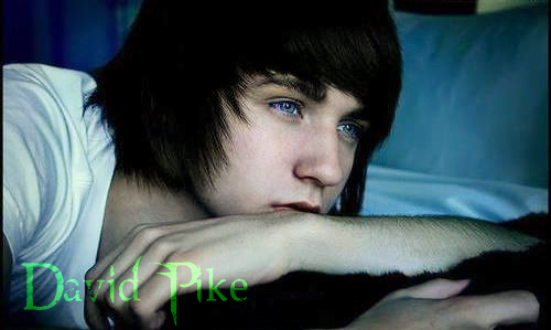 david3.png