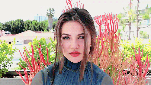 tumblr_oqjc3ll9221rg73dbo2_500.gif