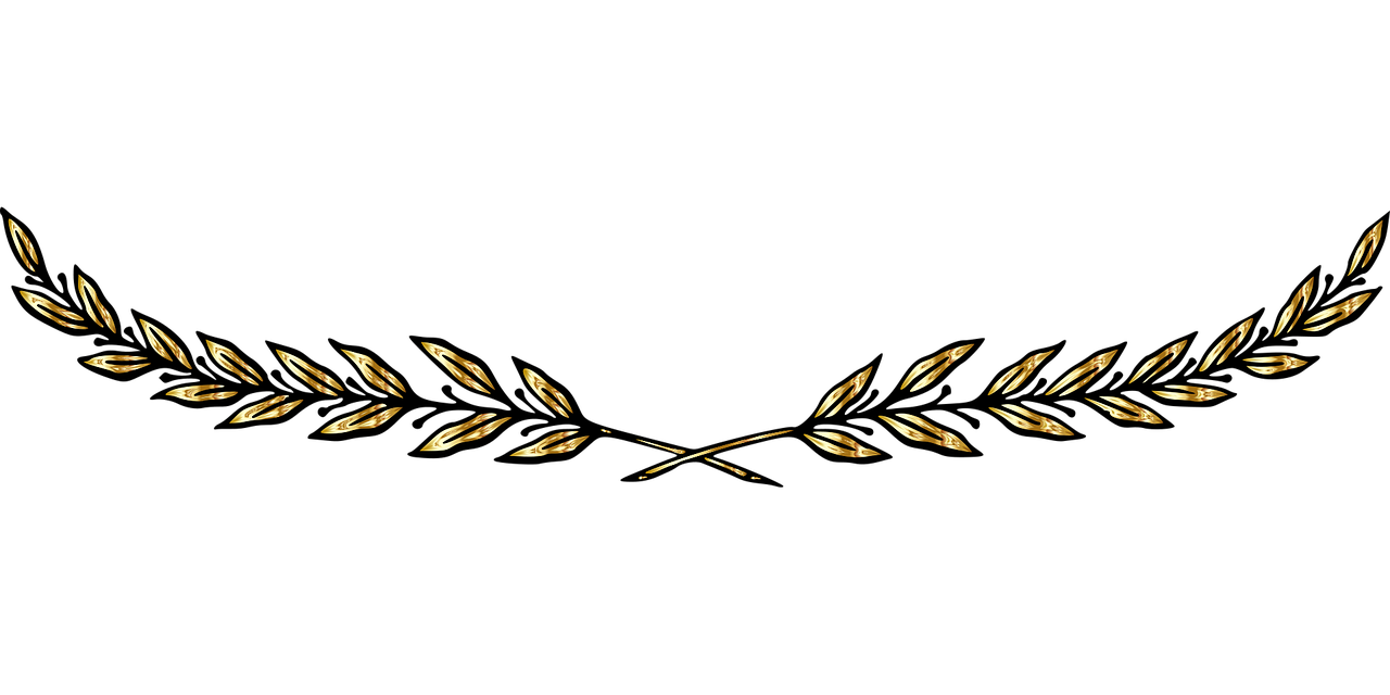 divider-6752864_1280.png
