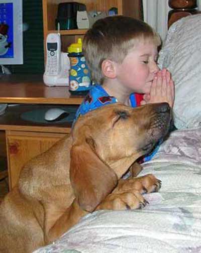 praying-dog-boy.jpg