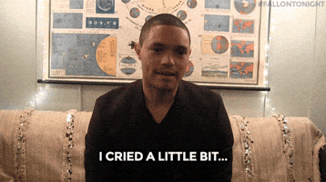 sad the daily show GIF