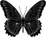 butterfly_black.gif