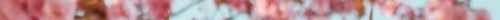 divider.png