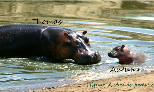 hippoautomas.png