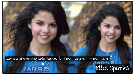 elliesiggo.png