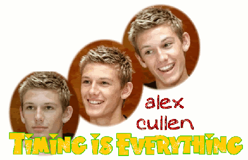 AlexBanner-1.gif