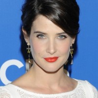 Cobie-Smulders-Sleek-Black-Updo-Hairstyle-200x200.jpg