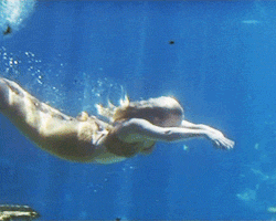 tumblr_m8kome7Gpn1rz9pfpo1_250.gif