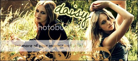 daisy1copy.jpg