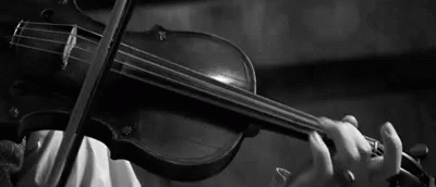 violin-playing.gif