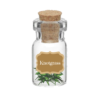 knotgrass.png