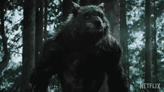 werewolf-the-order.gif