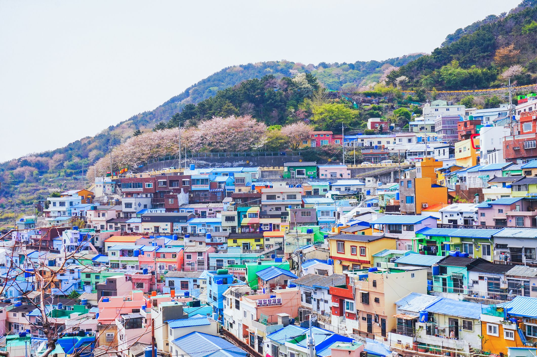 gamcheon-culture-village--busan--south-korea-1149825040-2bc1e16a08c14ee9add5aae5f0e8e9b9.jpg