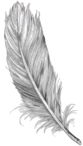 feather