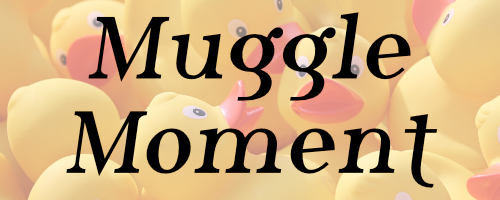muggle moment.png